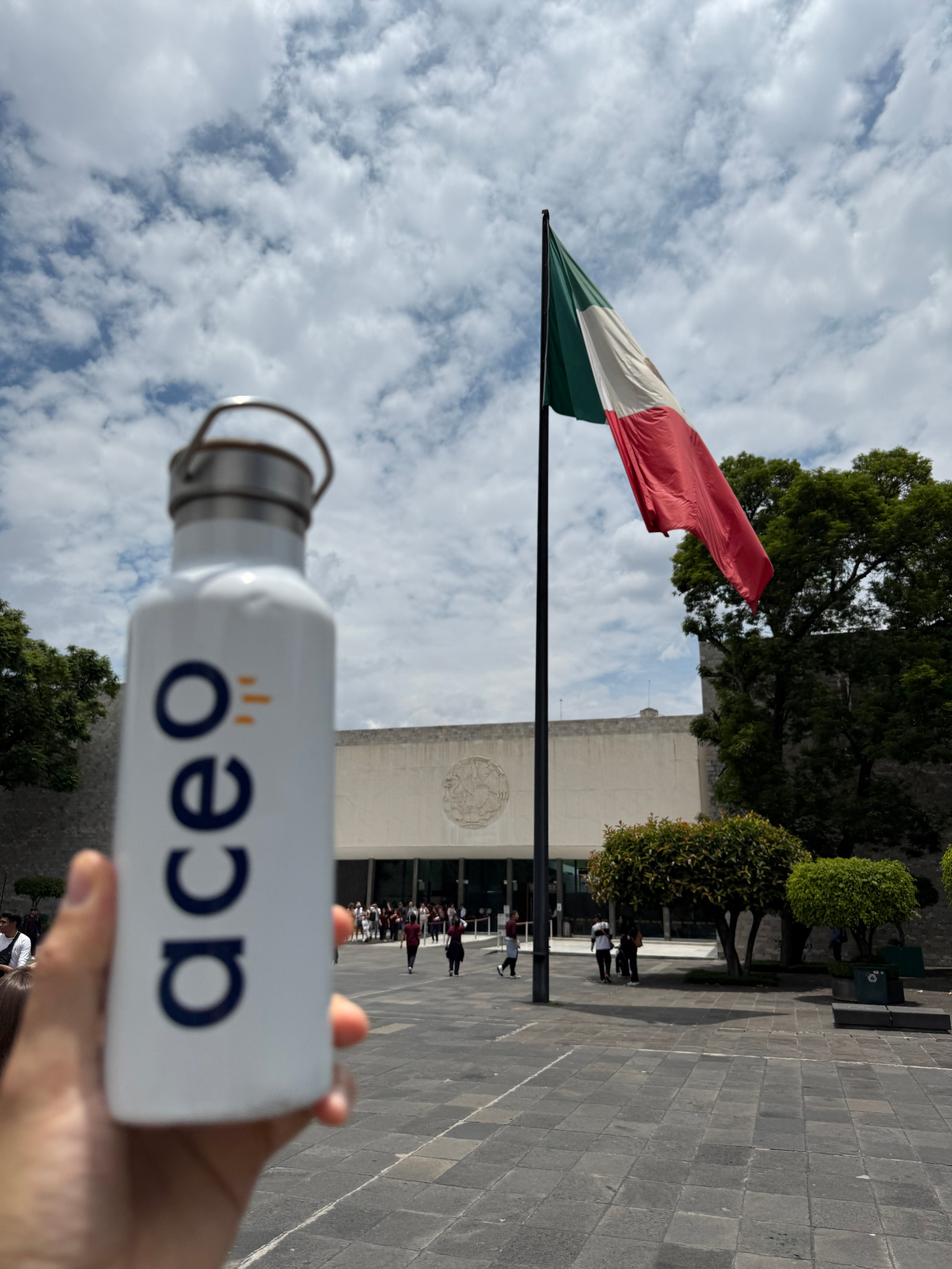 Aceo à Mexico City